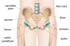 Hip Pain Treatment in Columbia
