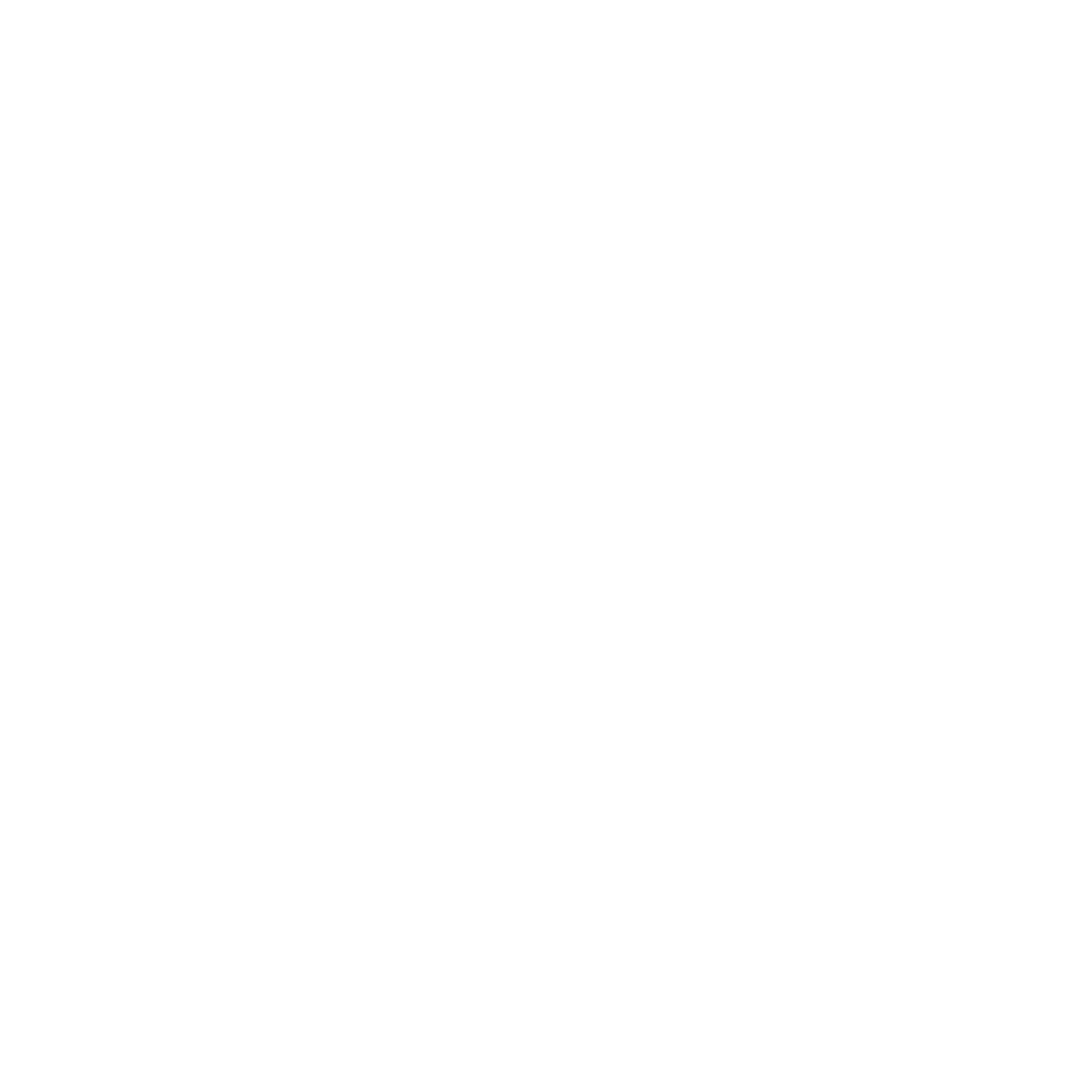 Weißes Laptop-Symbol mit WLAN und Globus, darunter "RS WEBDESIGN FÜR KLEINE UNTERNEHMEN" auf grünem Hintergrund.