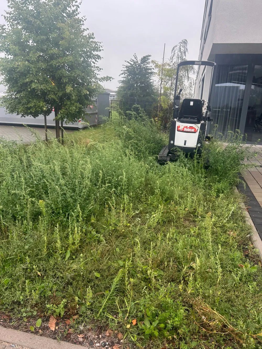 Vorher: verwilderte Fläche vor dem Firmengebäude