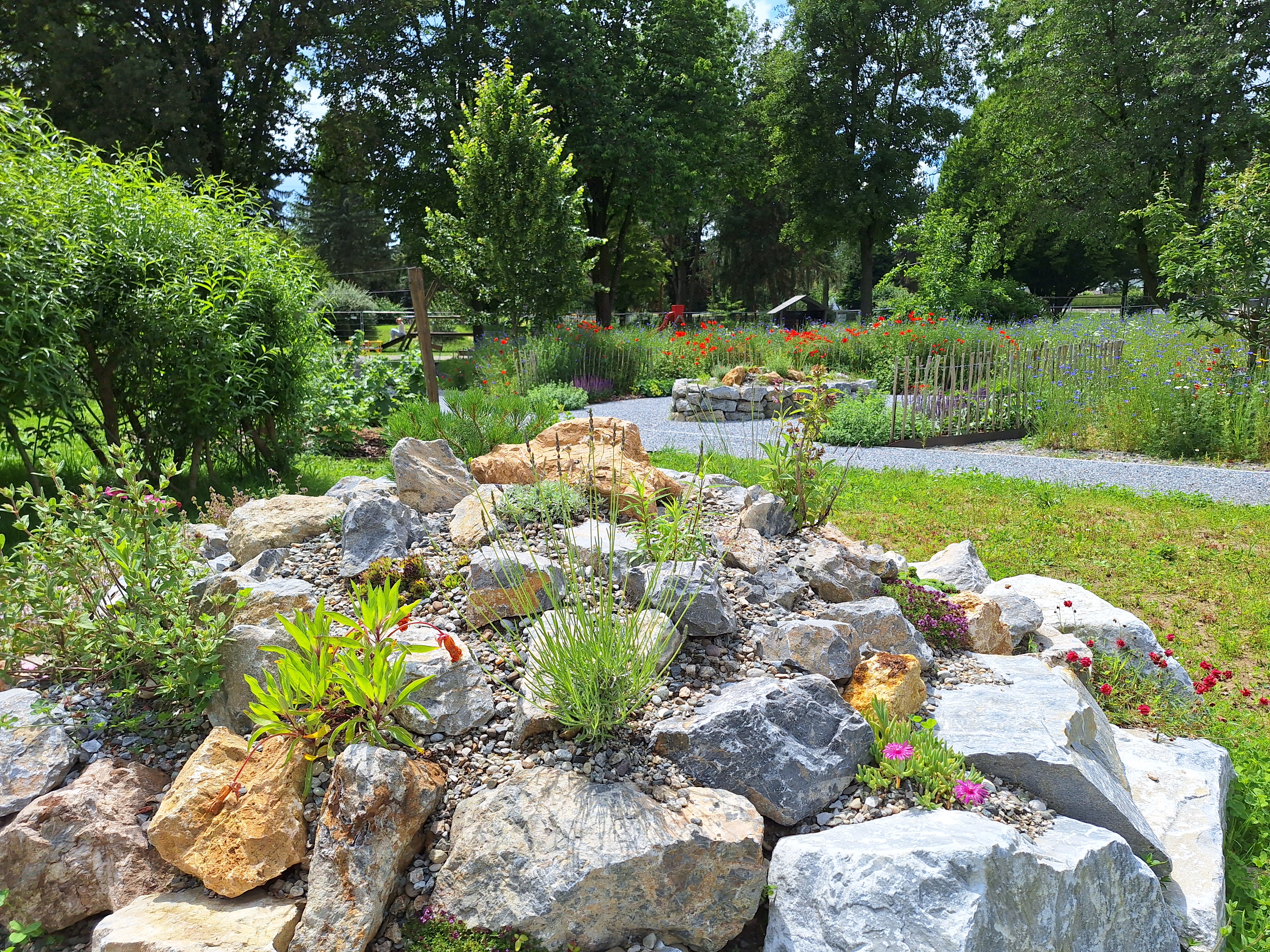 Naturnahe Gartengestaltung mit Wildblumenwiese