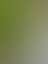 Hausmeisterservice Michelstadt | Ens Hausmeisterservice