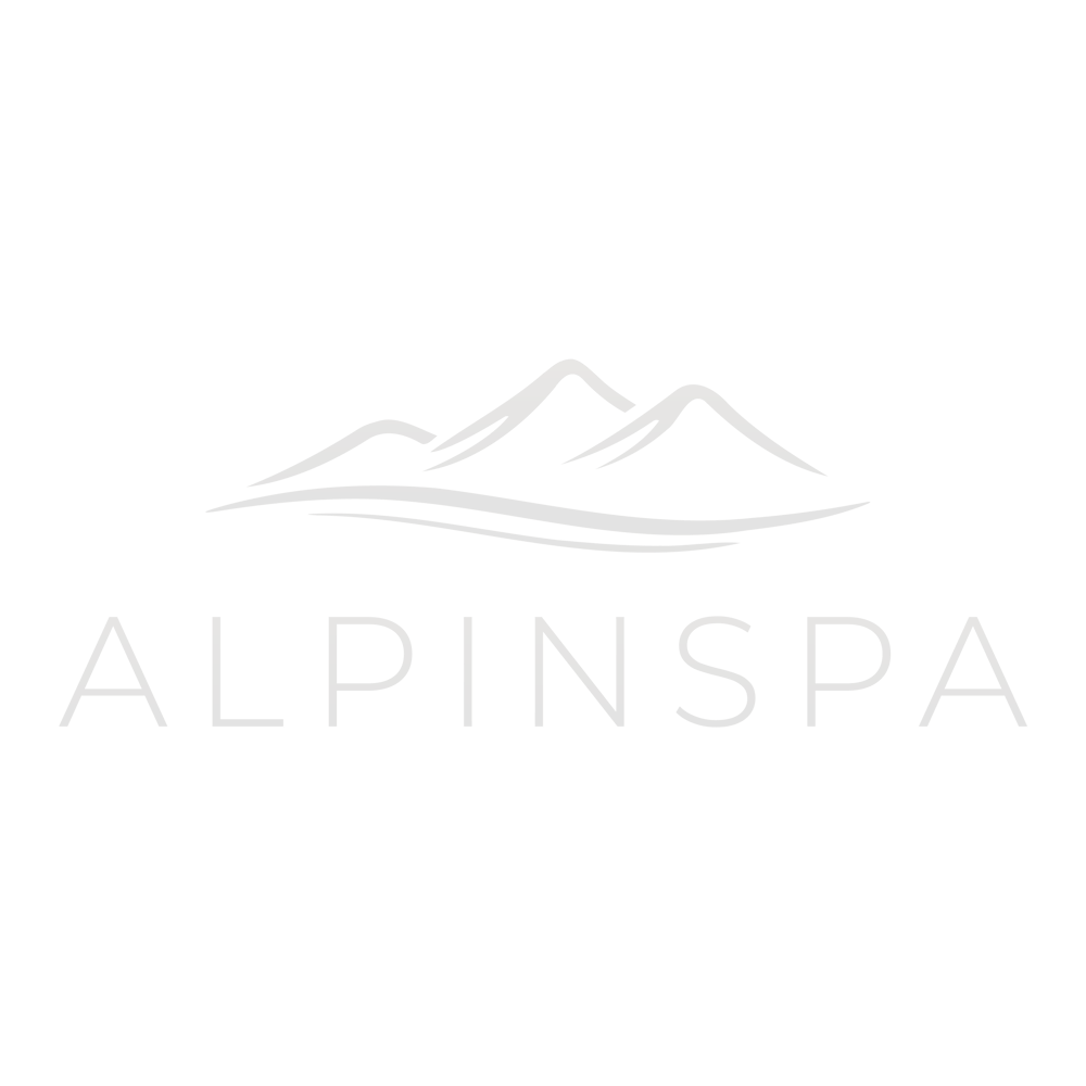 Grünes Logo mit weißen Bergen und dem Schriftzug "ALPINSPA".