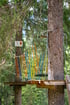 Kletterparcours im Wald mit bunten Seilen und Holzplattformen zwischen hohen Tannenstämmen.