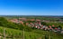 Panorama Neustadt an der Weinstraße Diedesfeld