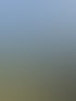 Mobiles  Video Überwachungssystem mit drei Solarpanels und einer Mastkamera auf einem trockenen Wiesengelände unter blauem Himmel.