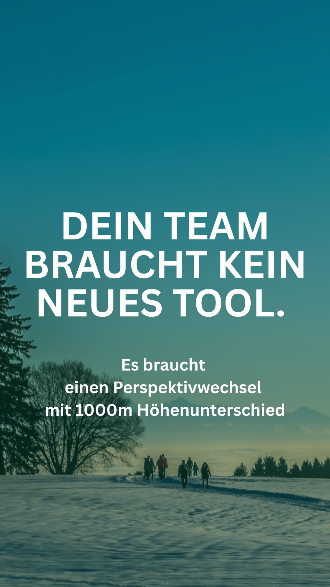 Anzeige Teamwelt: Winterlandschaft mit Gruppe, „Dein Team braucht kein neues Tool.“