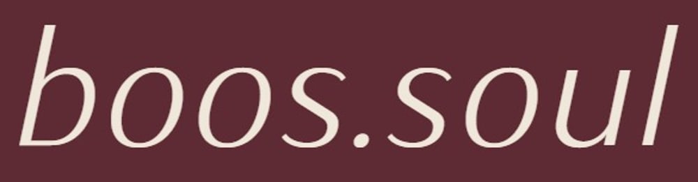 Der kursive Schriftzug boos.soul in heller Farbe auf einem dunkelroten Hintergrund.