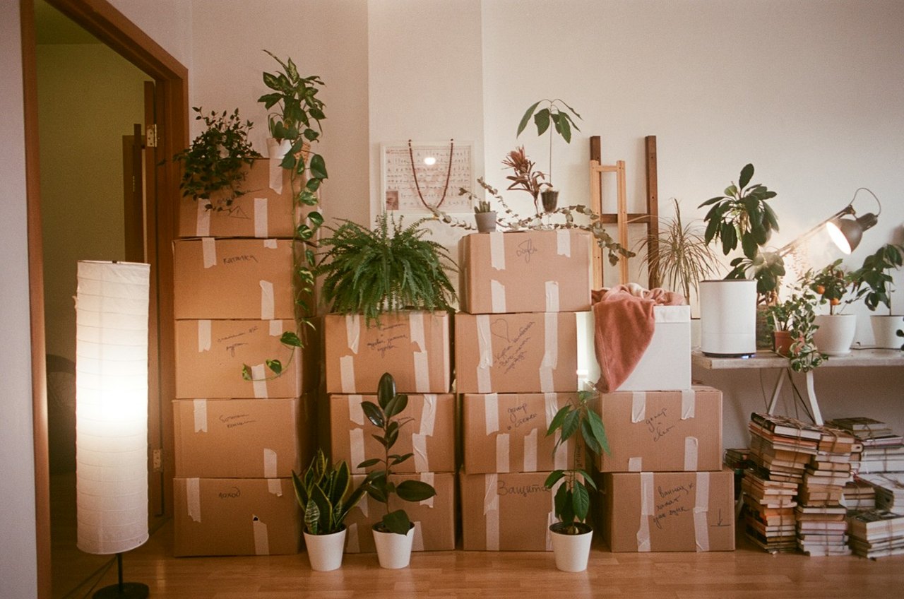 Gepackte Kartons in einer Wohnung bei einer Haushaltsauflösung
