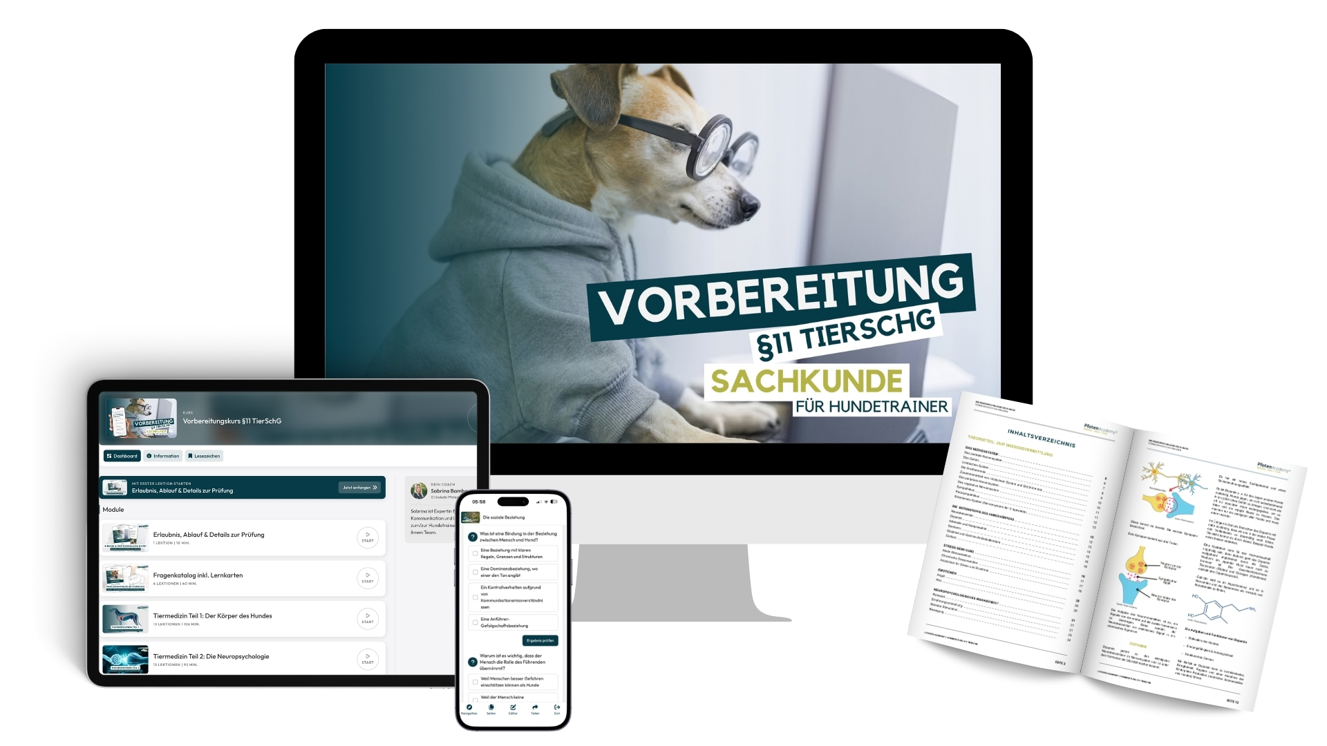 Monatsangebot für Hundetrainer
