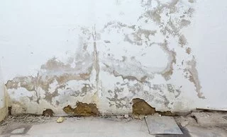 Häufige Feuchteursachen