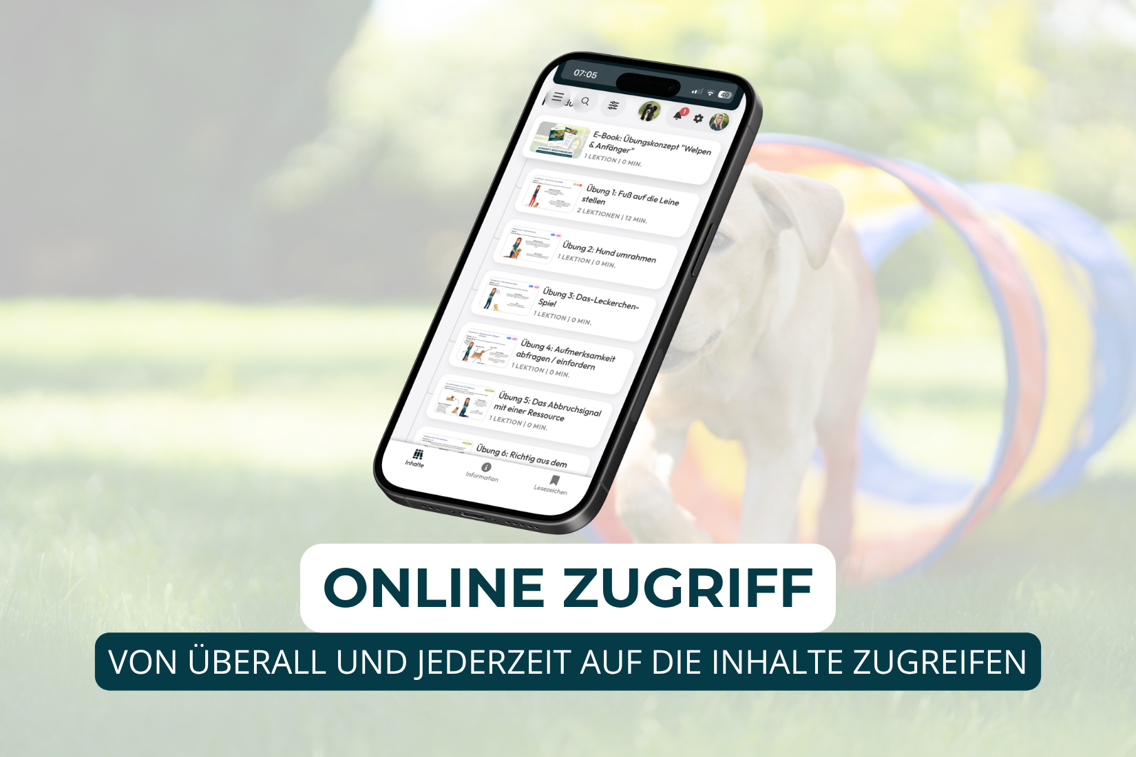 Basisübungen für Welpen und Anfänger – Bild 5