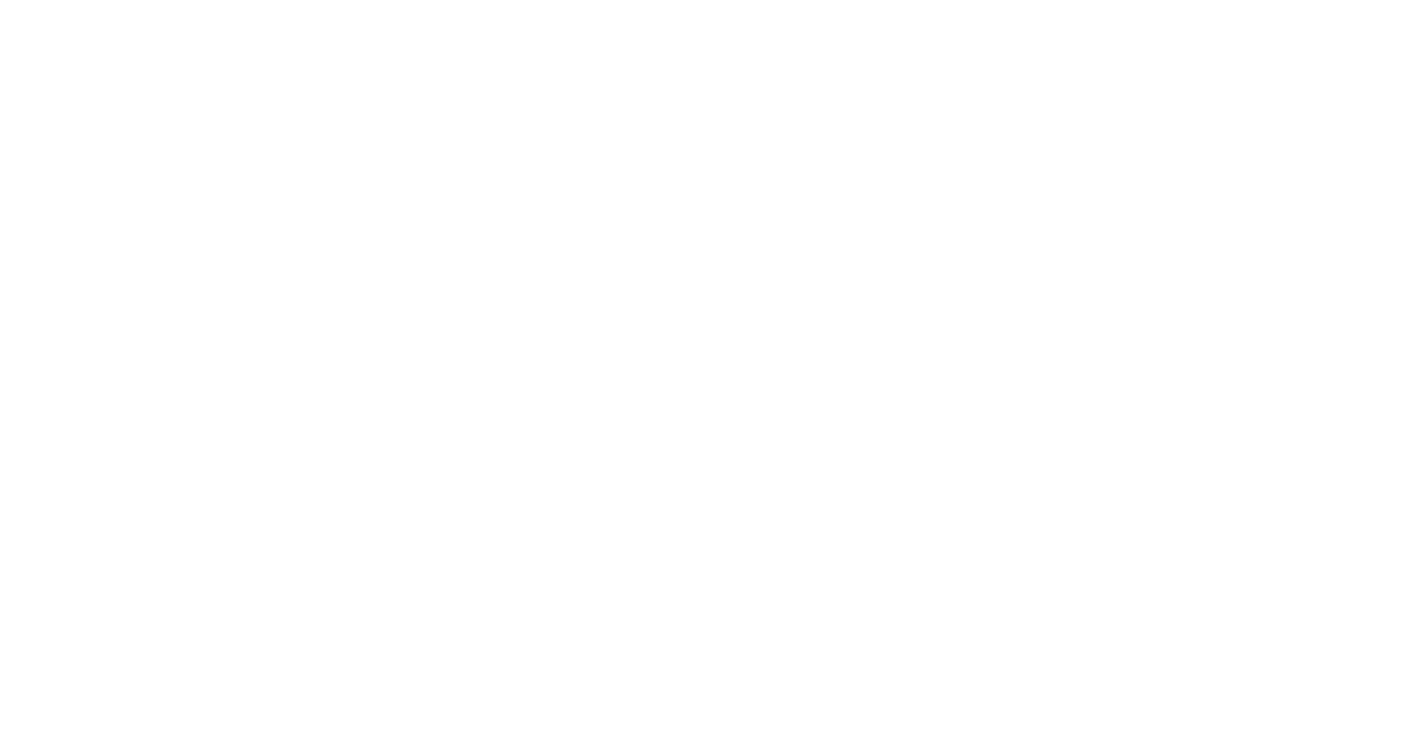 Kundenlogo 1
