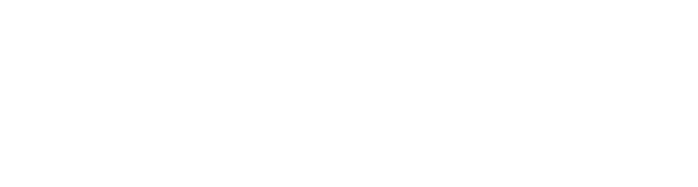 Logo von Sanistar Akademie, mit einem stilisierten quadratischen Symbol und dem Text SANISTAR Akademie.