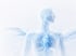 Transparenter menschlicher Körper in Blau mit Fokus auf Nervensystem, Gehirn und Herz vor weißem Hintergrund.