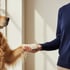 Persönliche Zusammenarbeit in der Hundebranche – Vertrauen und Partnerschaft mit WORTKERN