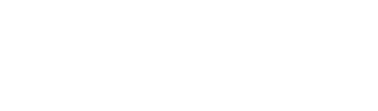 Logo 20