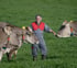 Christian Manser in Arbeitskleidung steht auf grüner Wiese zwischen zwei Kühen.