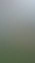 Drei Personen machen Sportübungen im Freien, zwei in Liegestützposition auf einer Matte, eine dritte Frau macht Kniebeugen.