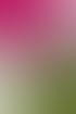 Detailaufnahme eines High Heels auf Gras neben einem pinken Kleid – Nachklang der Hochzeitsfeier.