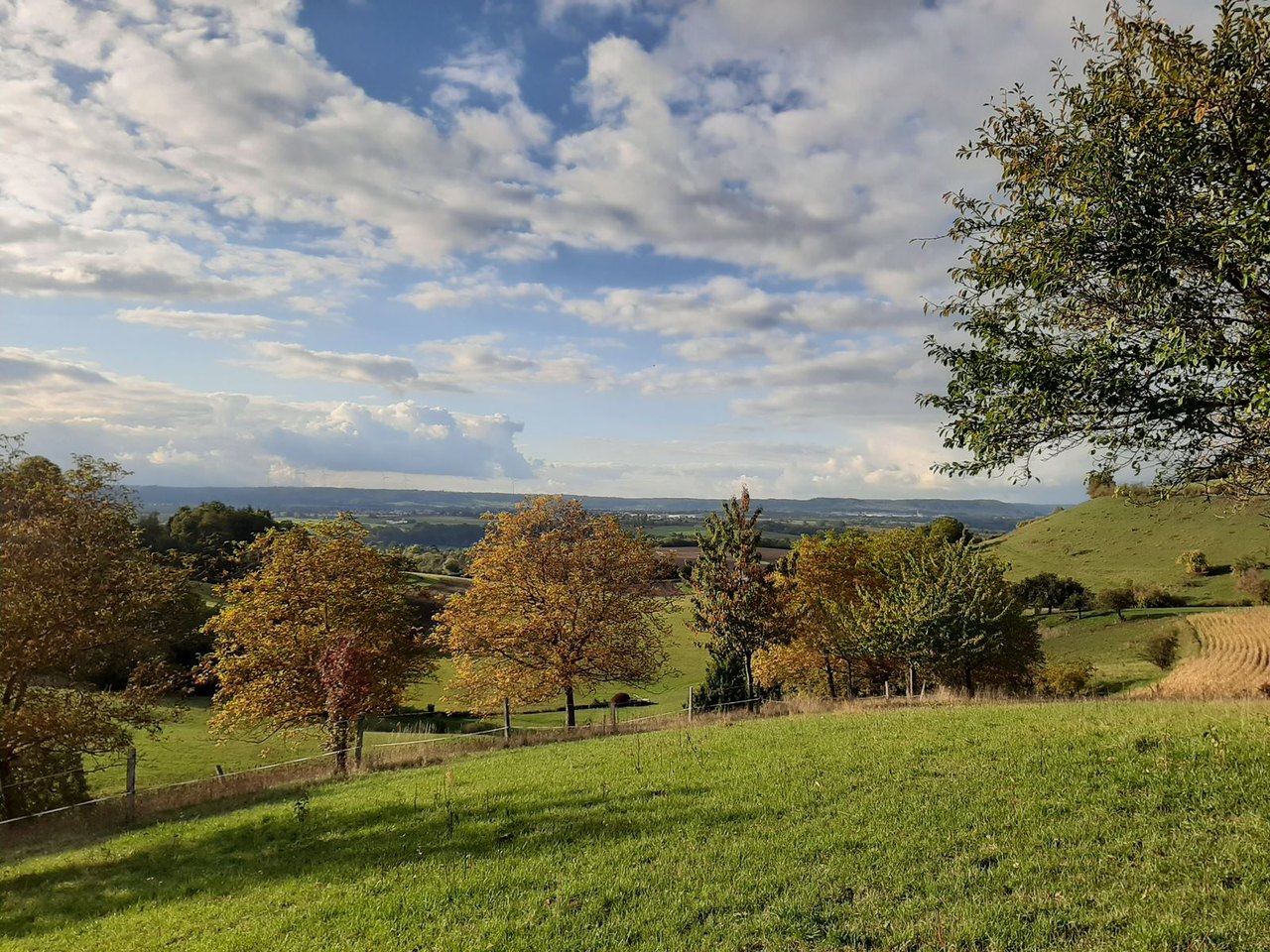 Blick auf Westheim in der Gemeinde Rosengarten