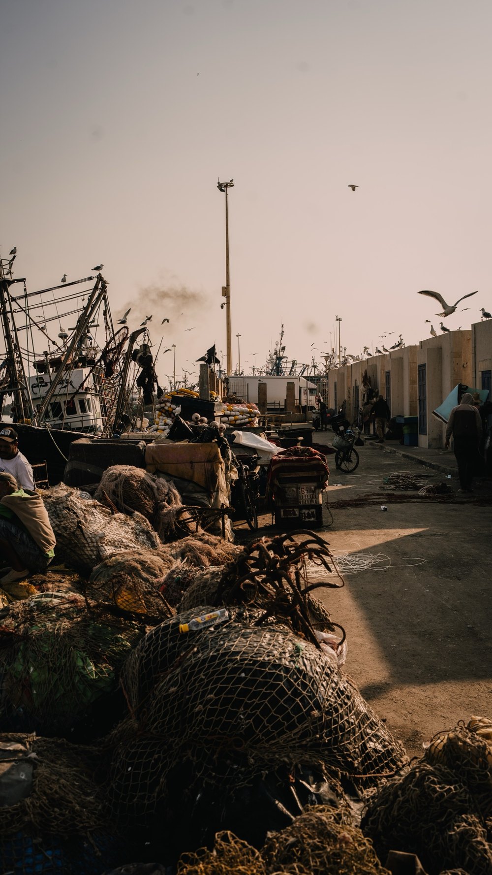 Möwe über Netzen und Booten am Hafen von Essaouira