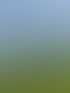 Gartenpflege in Cottbus & Heckenschnitt | Hecken & Halm