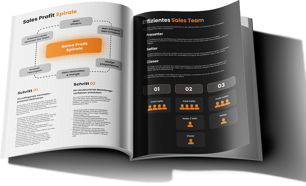 Sales Team Aufbau Playbook