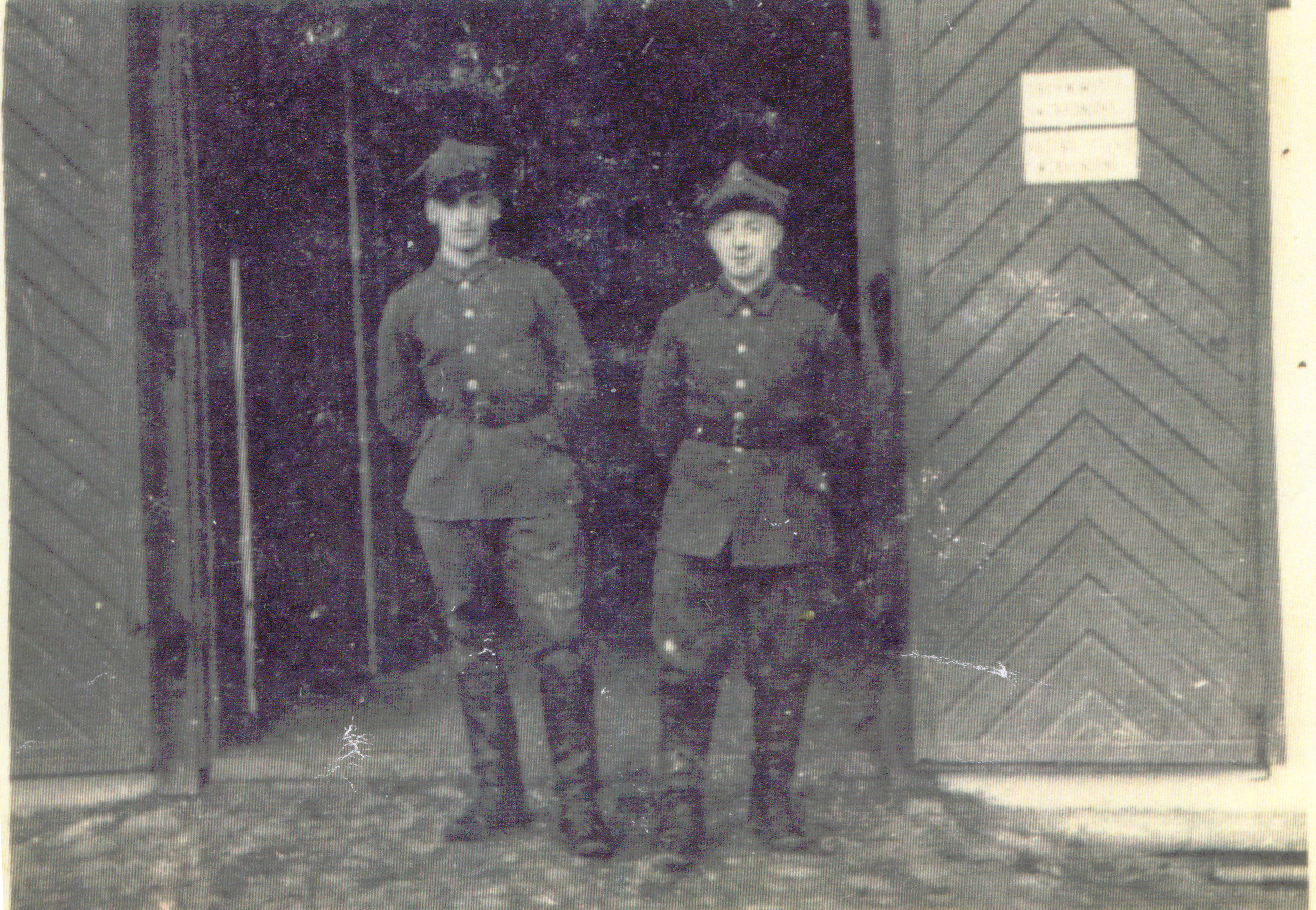 Imagen del archivo familiar Świ / Sweet