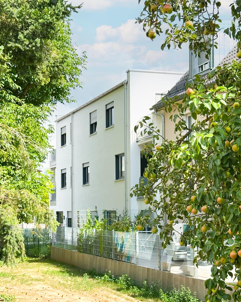Offener Wohn- und Essbereich einer der Neubauwohnungen