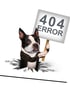Ein Boston Terrier kommt aus einem Loch im Boden und hält ein Schild mit der Aufschrift „404 ERROR“.