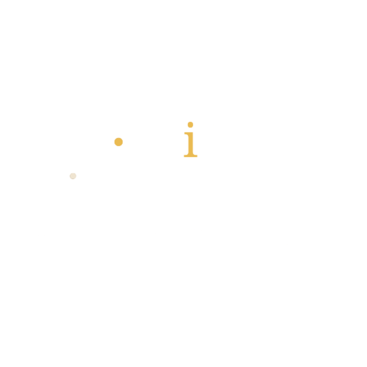 ZiLE Logo