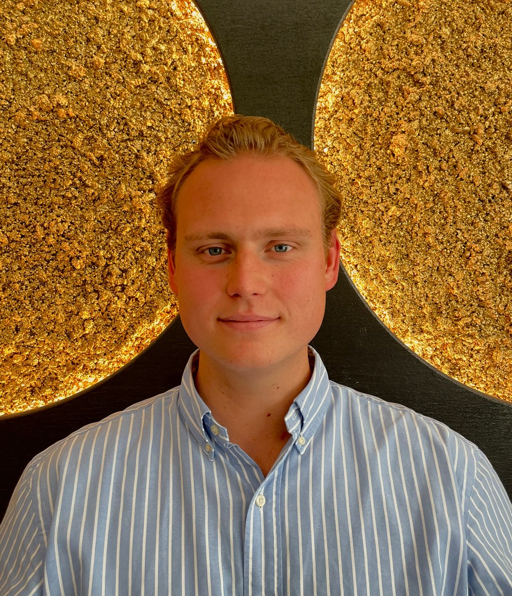 ackerland verkaufen schleswig-holstein, agrarflächen verkaufen schleswig-holstein, flächenverkauf landwirtschaft, wald verkaufen, Forstflächen verkaufen,