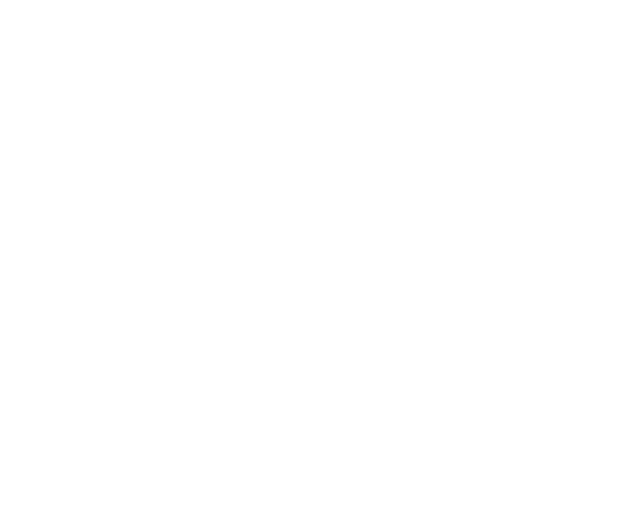 ALL IN ONE