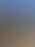 Hecken Service Harz Heckenpflanzung