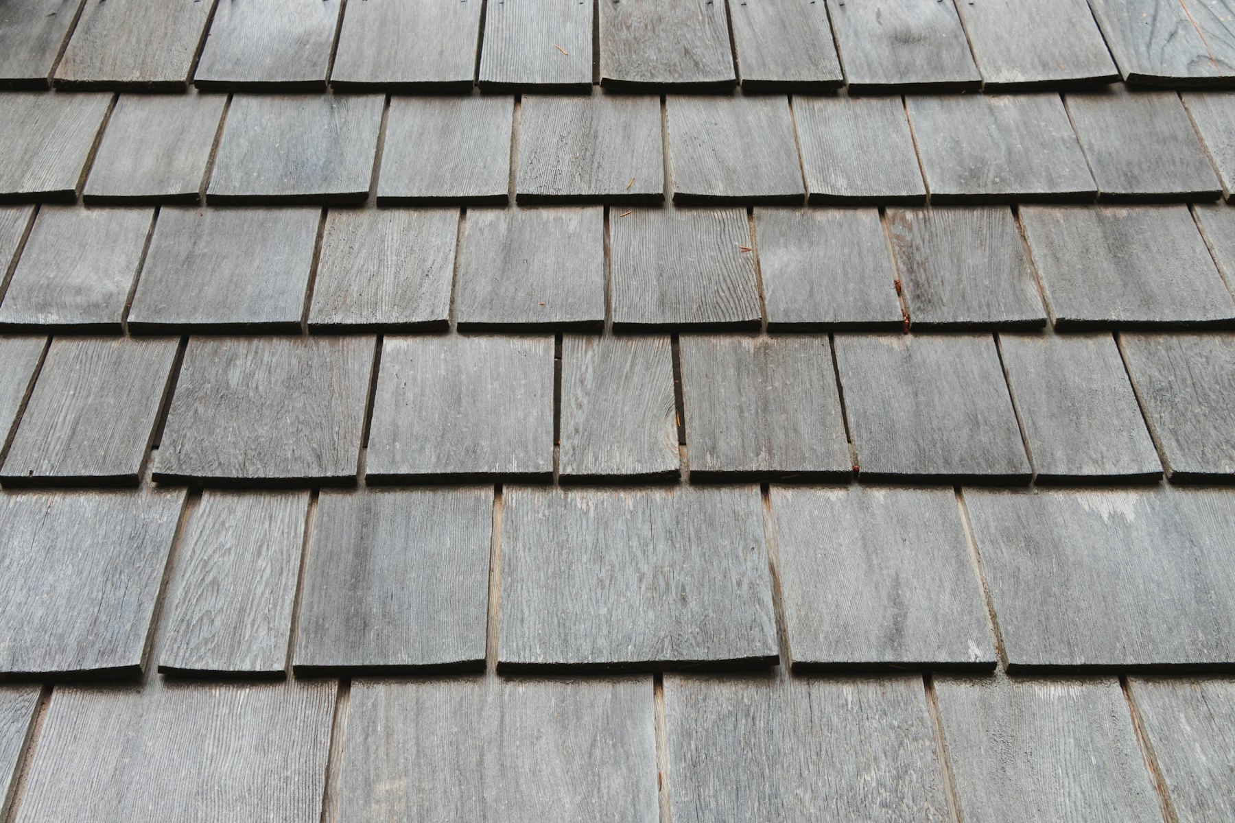 Worn shingle surface on an Aledo roof being assessed for targeted repair