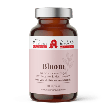 Bloom