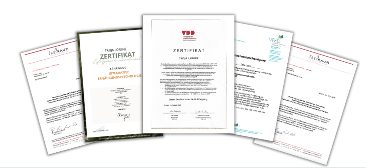 Übersicht meiner Fortbildungszertifikate
