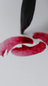Close Up von Pinsel mit roter Farbe | Social Media Videos von WAVE.FILM