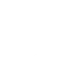 Wella Logo