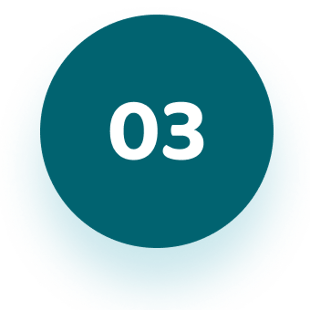 03 Icon