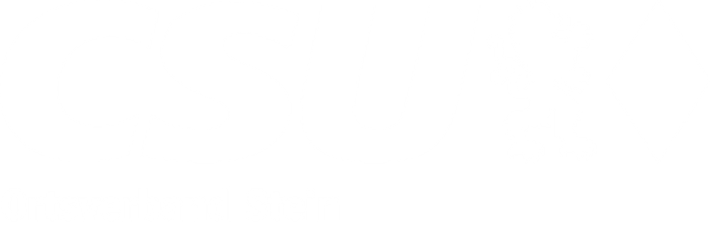 Weißes CSU-Logo mit Löwen und Raute auf grünem Hintergrund, darunter "Ortsverband Stein".