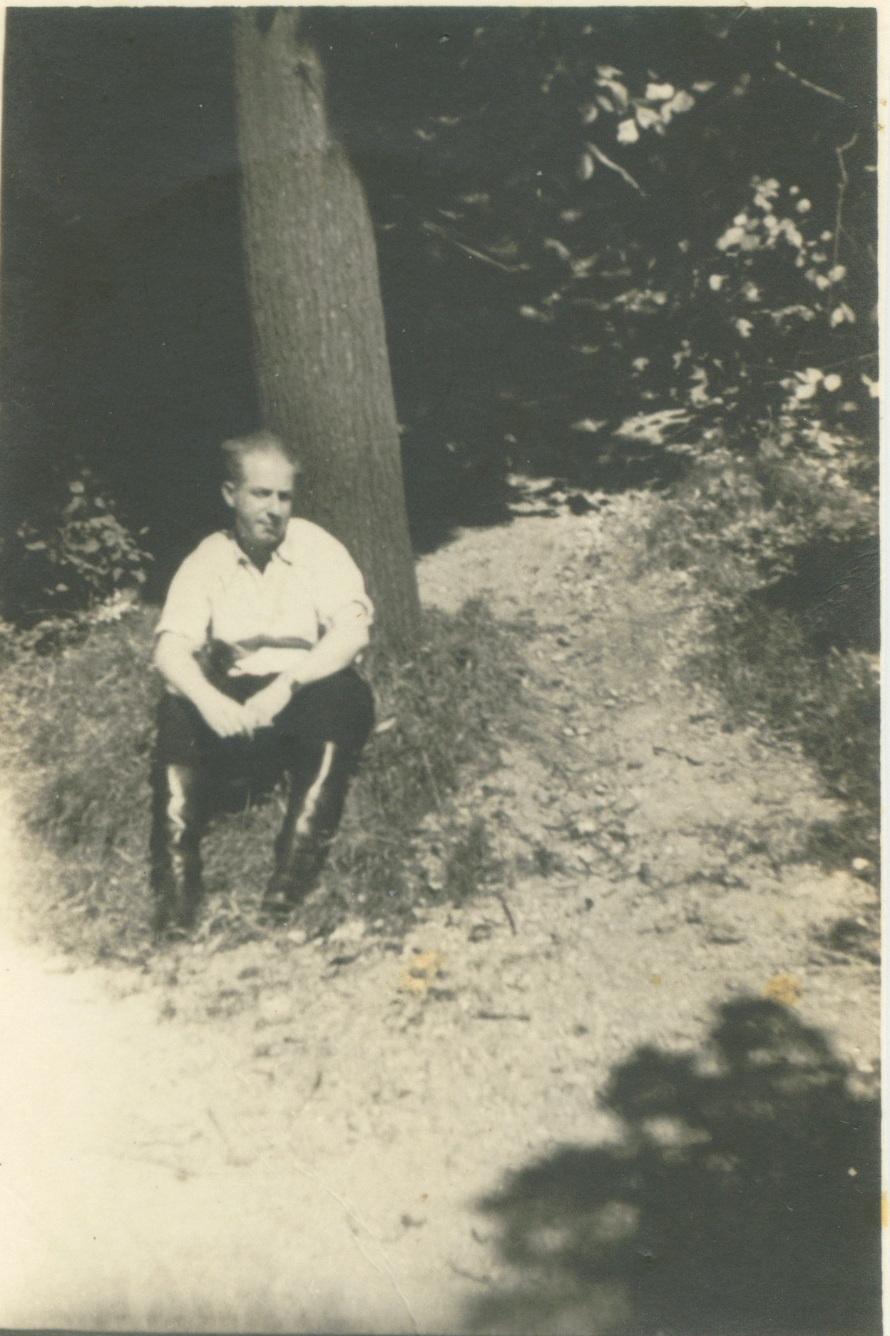 Imagen del archivo familiar Świ / Sweet