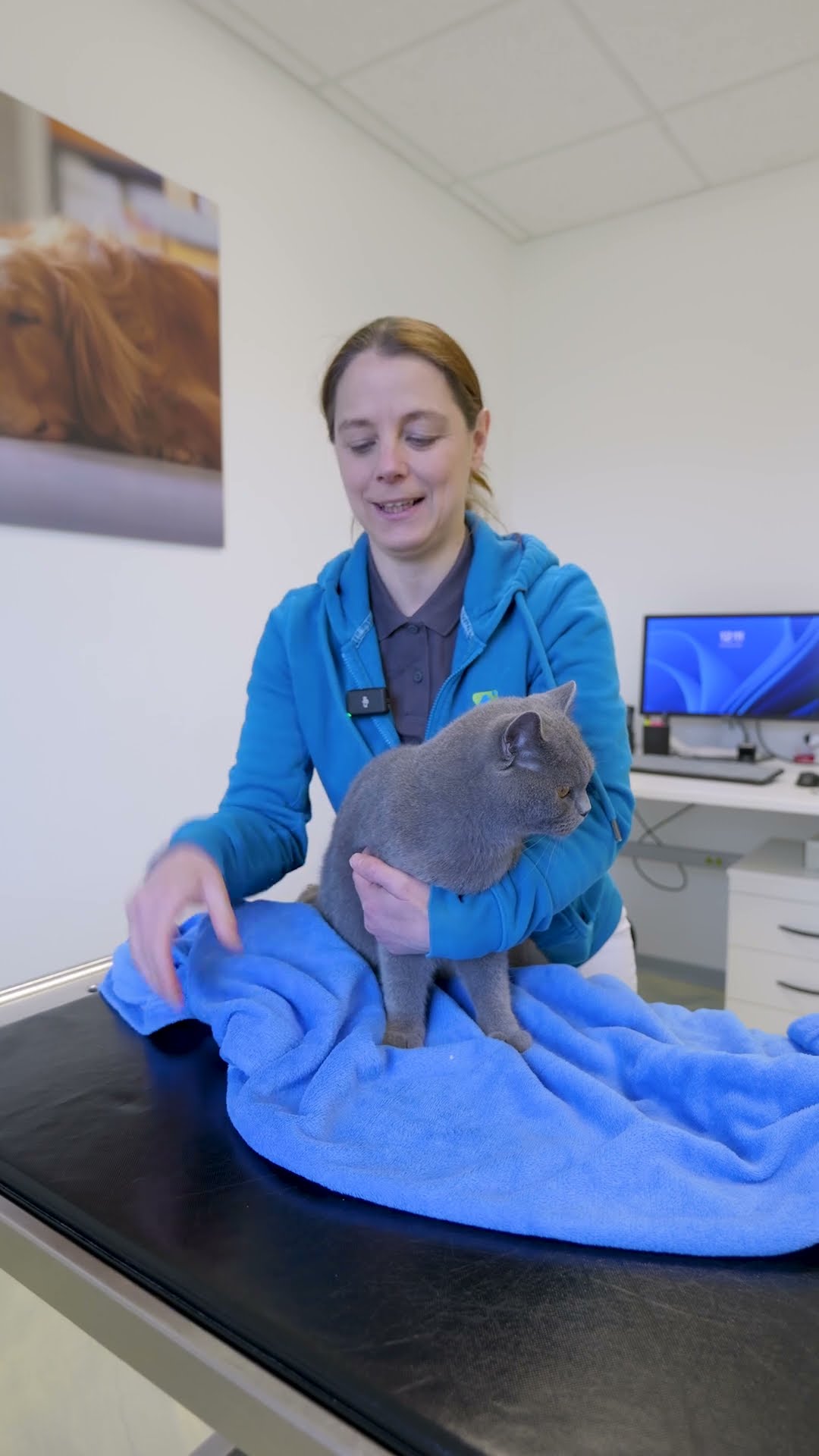 Reel für Tierarztpraxis: Katze sicher in eine Decke wickeln