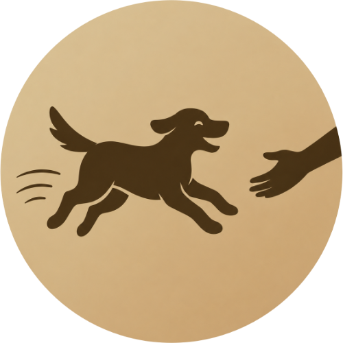 Rückruf