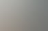 Einblick in den Arbeitsalltag bei Butenschön und Partner