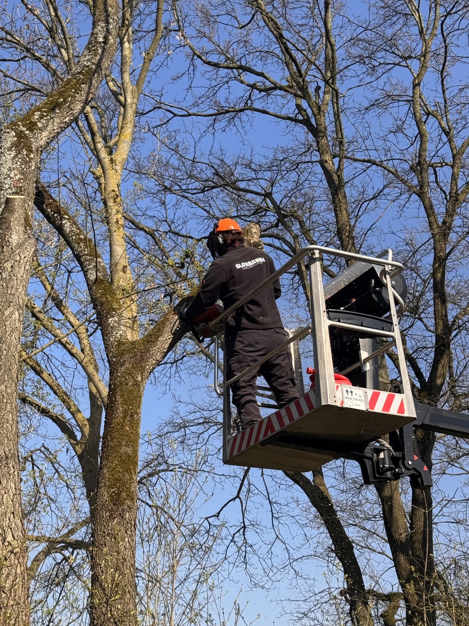 Grünservice