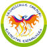 Logo der Wildnisschule Chiemgau mit einem bunten Phönix und dem Text "ELEMENTAR ERFAHRUNGEN".
