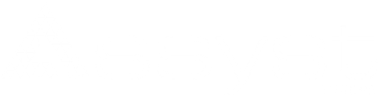 Assyst Europe