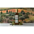 A bottle of Gustama 100% Apulian olive oil with green olives and leaves on a stone surface.
