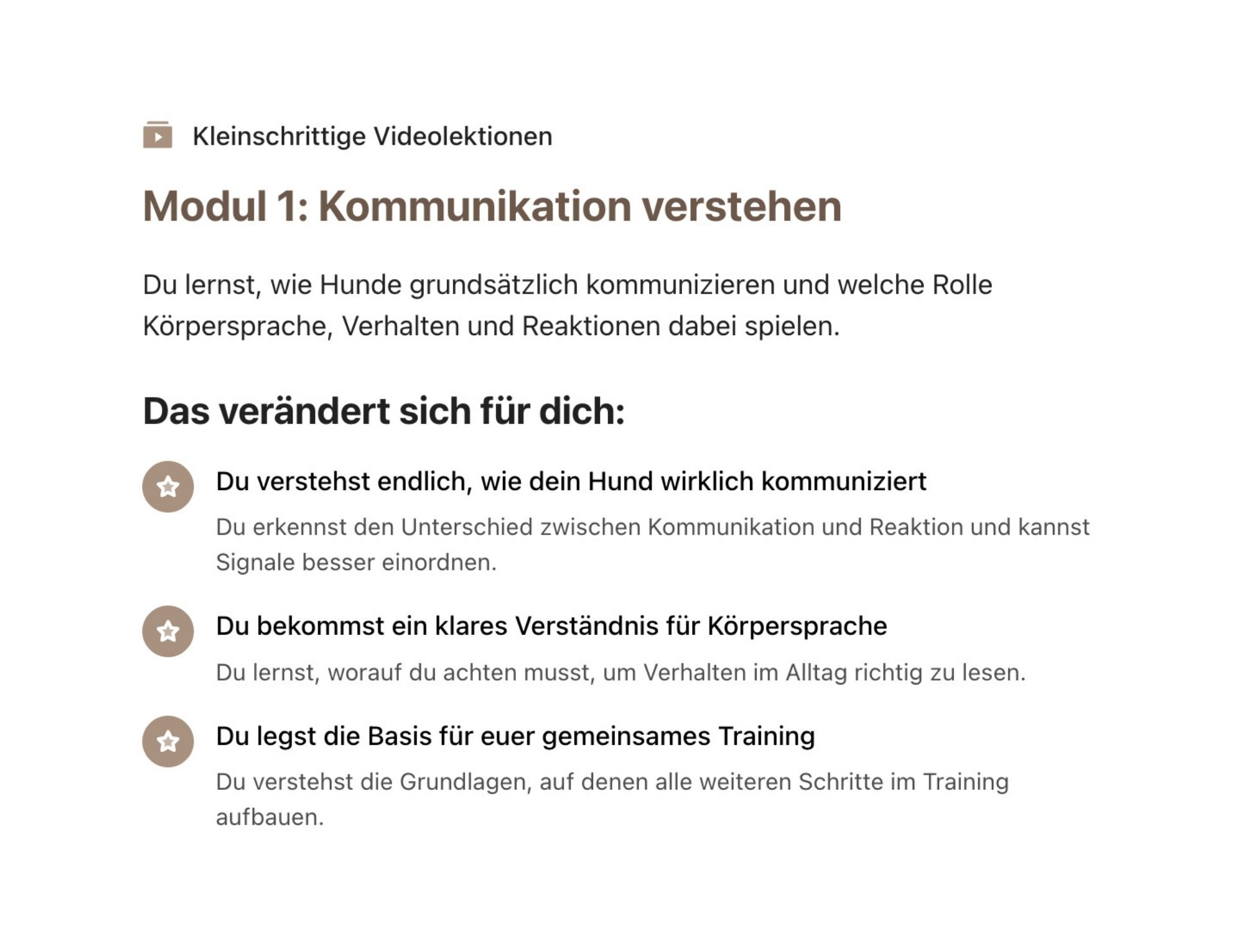 Was will dein Hund dir sagen? – Bild 4
